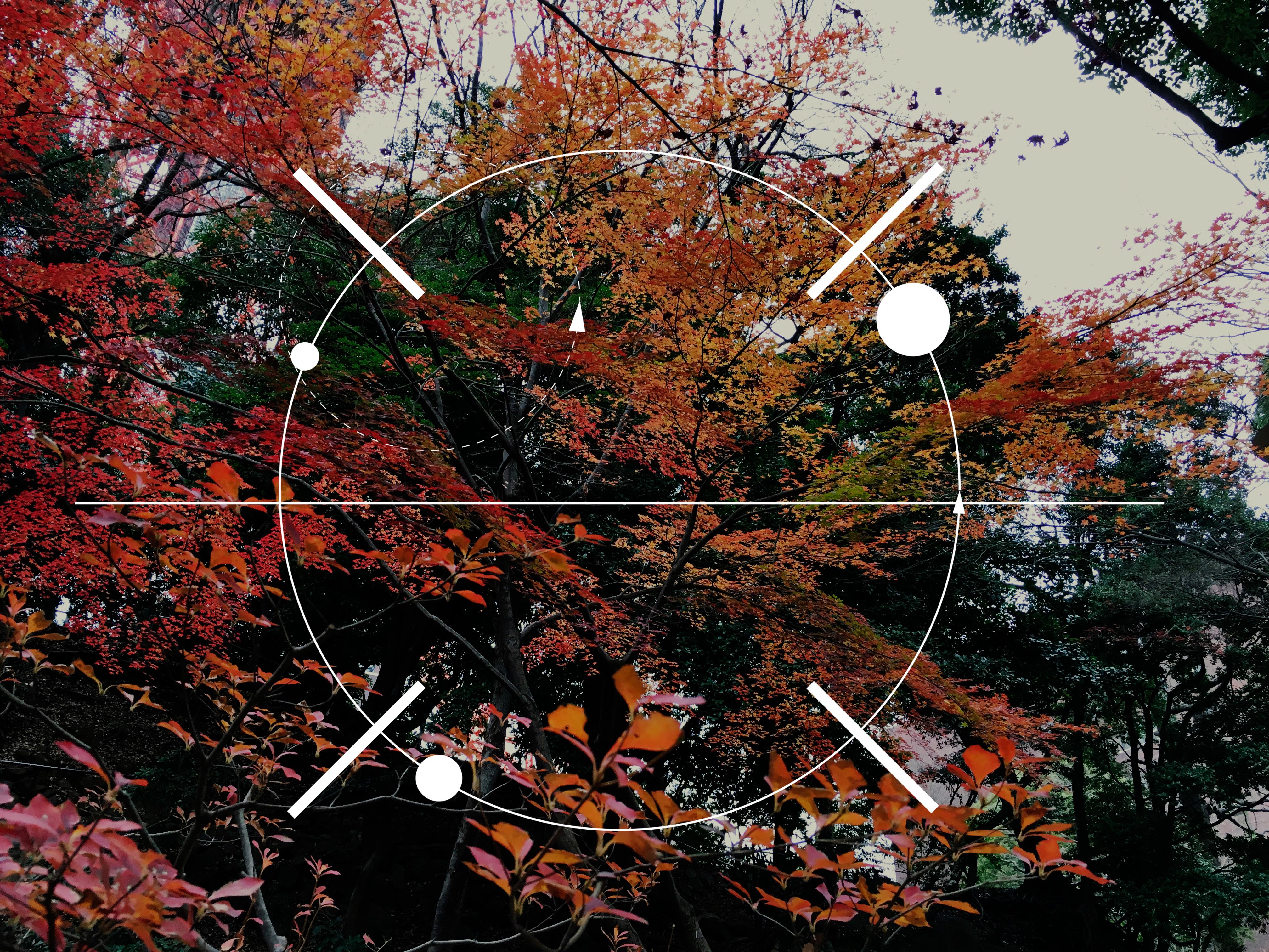 circle-round-badge-banner-vector (1)